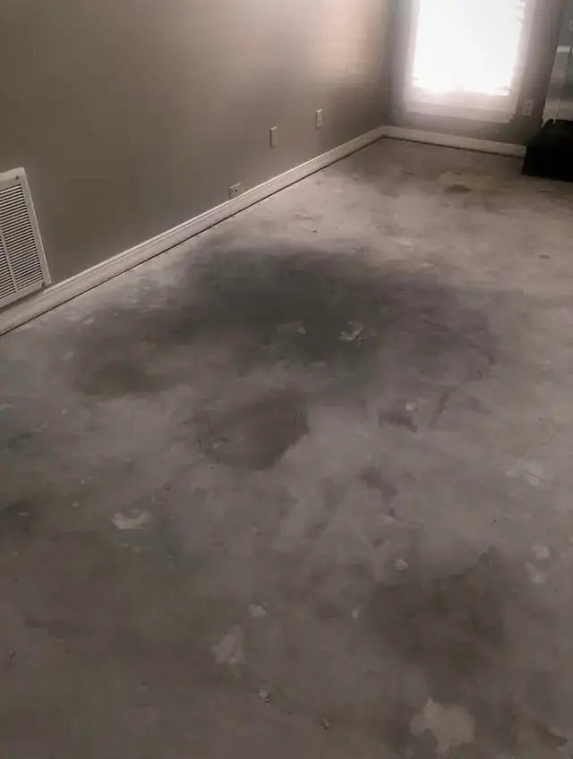 Wet patch spreading across a bare concrete slab from a slab leak in El Monte