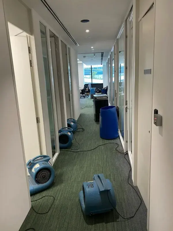 Air movers drying a carpeted corridor during structural drying in El Monte
